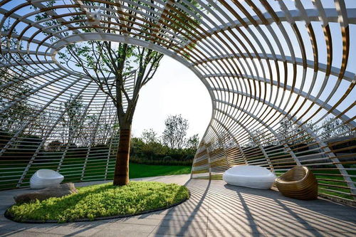 奔赴在熱愛(ài)之中 賽肯思2020精品項(xiàng)目合集