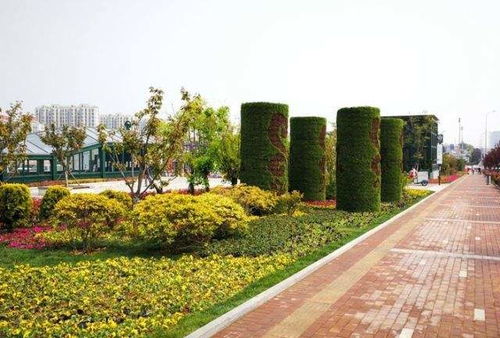 【五色草景觀雕塑造型佛甲草雕塑造型適合擺放在什么場合】- 